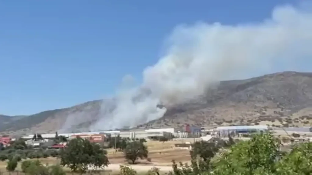 φωτιά-στον-ασπρόπυργο-καίει-σε-χαμηλή-2337229