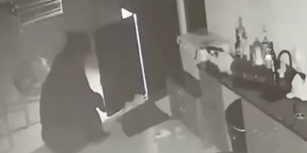 αρκούδα-εισέβαλε-σε-σπίτι-στη-φλόριντ-2425022