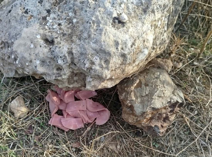 κρήτη-πέταξαν-φόλες-με-ζαμπόν-μέσα-στο-2415559